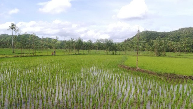 West Nusa Tenggara, West Nusa Tenggara, Indonesia