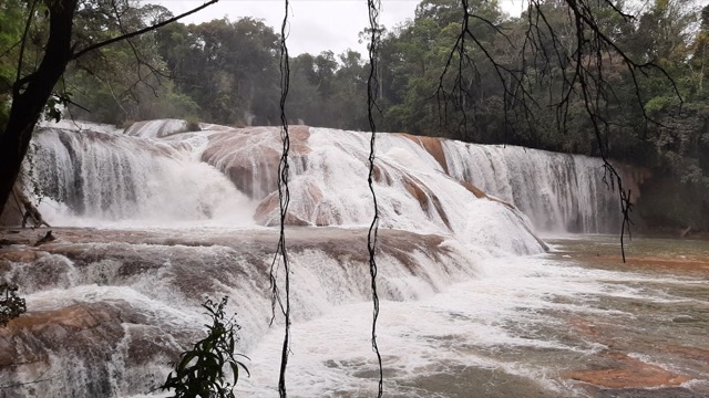 Agua azul, Mexico
